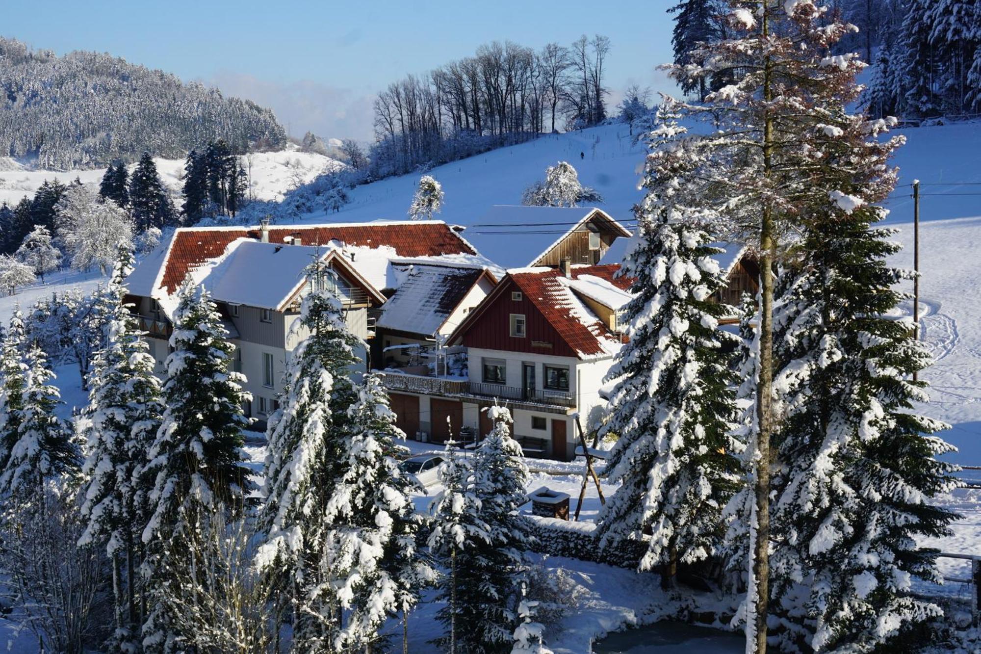 Muellerleile Hof Haslach im Kinzigtal Exterior foto