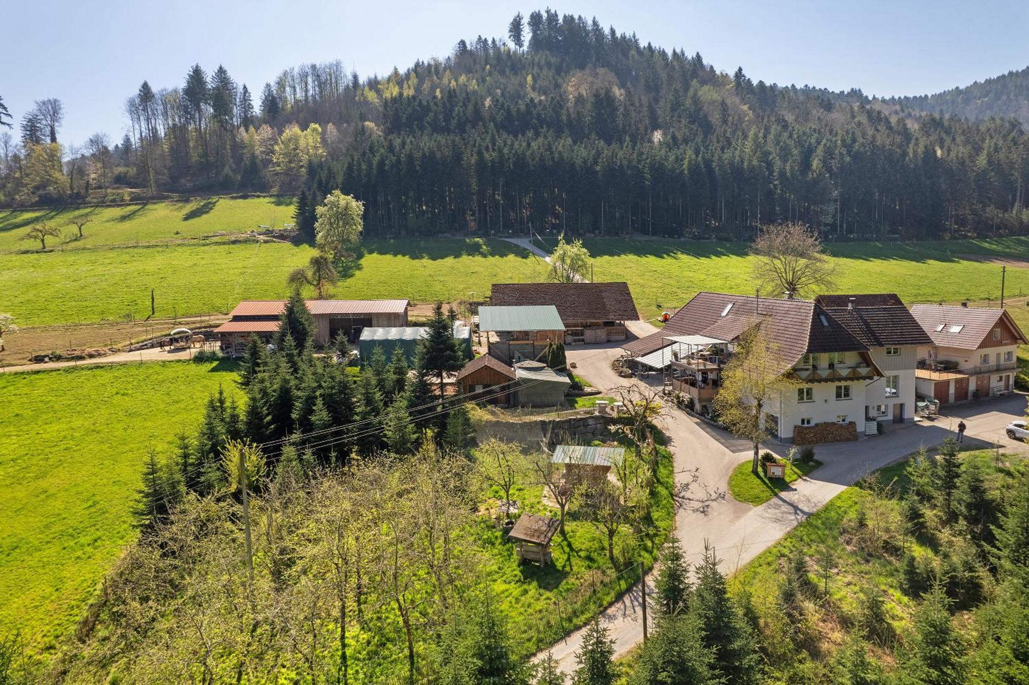 Muellerleile Hof Haslach im Kinzigtal Exterior foto